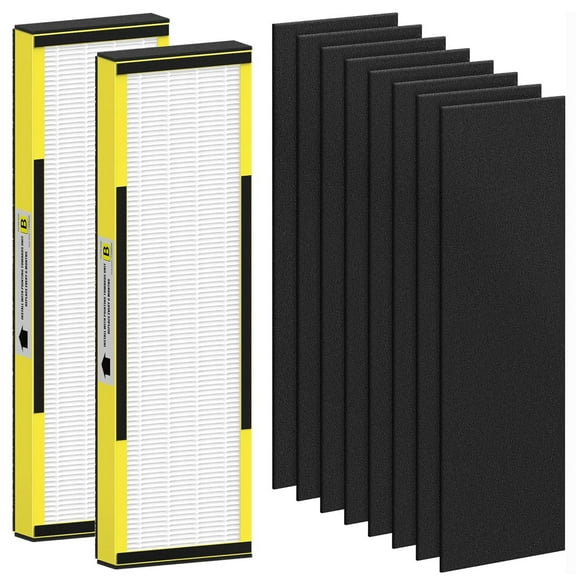 FLT4825 HEPA Filter B Replacement for Guardian Air Purifier Compatible with Guardian Air Purifier AC4825 AC4300 AC4800 AC4900 AC4850, 2 HEPA Filters and 8 Pre-Filters
