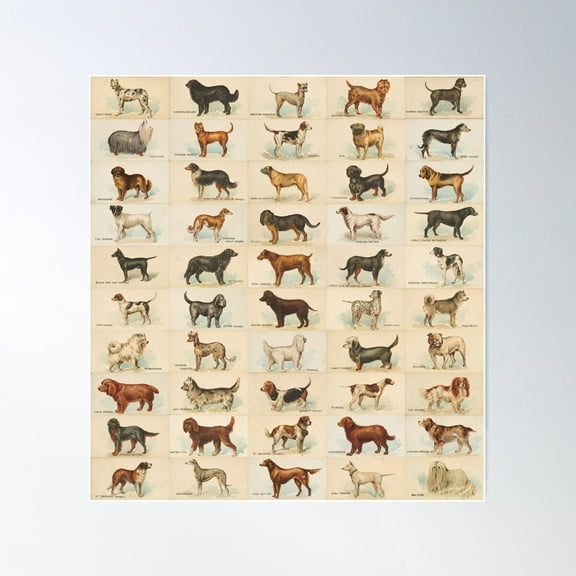 Dogs Of The World Poster Wall Art, Modern Wall Decor For Living Room Bedroom, 8x12 UNFRAMED