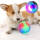 thumbnail image 2 of Juguete de pelota brillante para perros, pelota masticable que rebota, juguete de entrenamiento interactivo de goma, colorido, resistente a las mordeduras, juguete educativo para perros, 2 of 8