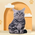 thumbnail image 2 of Avdolw Multicolor Cat Doll Decorative Pillow - Realistic Home Decor, Party & Holiday Gift, for Home Sofa Decorations, 2 of 6