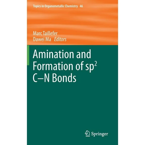 Topics in Organometallic Chemistry Amination and Formation of Sp2 C-N Bonds, Book 46, (Hardcover)