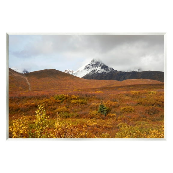 Stupell Industries Meadow with Distant Peak Landscape Photography Unframed Art Print Wall Art, 15 x 10
