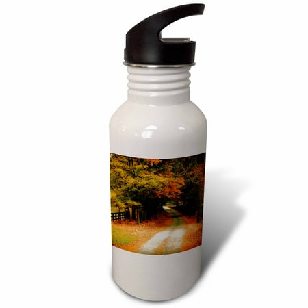 

Fall Leaves on a Country Road in Georgia 21 oz Sports Water Bottle wb-79493-1