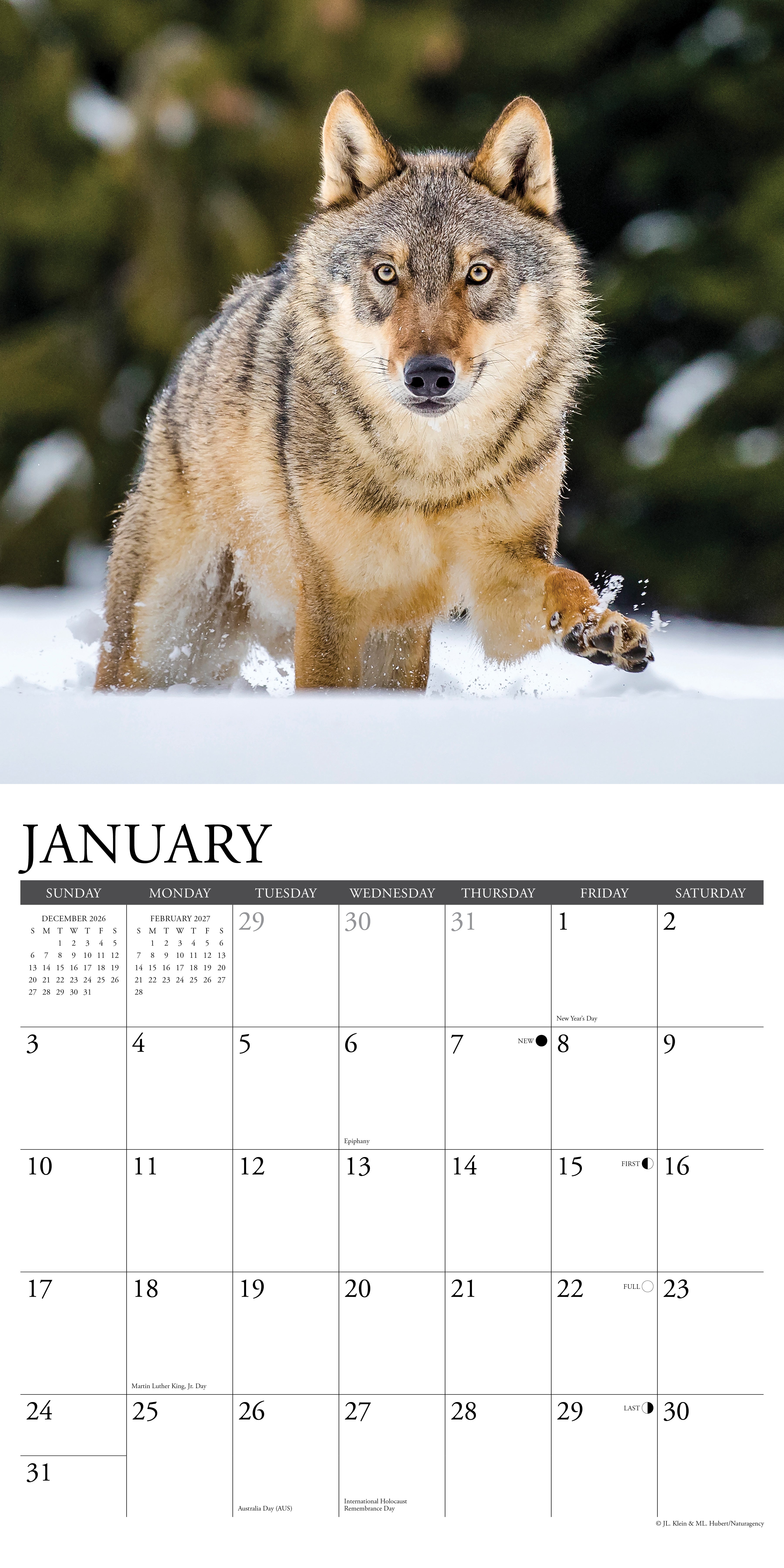 Willow Creek Press, Spirit of the Wolf 2027 Wall Calendar