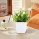 thumbnail image 4 of Plantas Artificiales En Maceta con Flores, Pequeñas Plantas Artificiales para Decoración de Interiores (Hogar, Baño, Cocina, Oficina, Escritorio), Planta de Plástico Verde de 18 Cm de Altura, 4 of 6