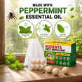 thumbnail image 2 of VKY~Peppermint Oil Spider RepellentBalls 72 Pack ,rodentrepellent for House Garage to Get Rid of Spiders Outdoor Indoor– Natural Deterrent for Home, Garage, Car, 2 of 6