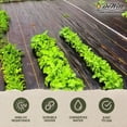 thumbnail image 2 of DeWitt Sunbelt Weed Barrier Fabric 3.2 oz, Heavy-Duty Ground Cover, 6 x 300 Feet, 2 of 8
