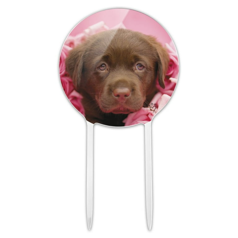 Acrylic Chocolate Labrador Retriever Puppy Dog Pink Roses Cake Topper Party Decoration for Wedding Anniversary Birthday Graduation
