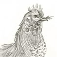 thumbnail image 2 of Wilson, Kelsey 20x20 Gold Ornate Wood Framed with Double Matting Museum Art Print Titled - Watercolor  Pencil Farm VI-Rooster, 2 of 4