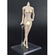 thumbnail image 2 of Fexible s 1/6 Cuerpo Pálido Piel Medio Busto Y Cabeza Esculpir Pulgadas Kumik Doll, 2 of 9