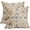 Blue Green Rust Red, variant on Vintage Floral Pillow Covers 20x20 Inch Set of 2 Rust Brown Orange Retro Country Flower Print Decorative Throw Pillowcases Rustic Farmhouse Outdoor Cushion Cases Decor Seasonal for Sofa Couch Bed