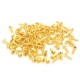 thumbnail image 1 of Electric Guitar Accessories,100PCS Guitar Pickguard Screws Guitar Panel Screws Guitar Panel Mounting Screw Advanced Technology, 1 of 8