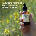thumbnail image 3 of Aceite Milagroso para el Cuerpo Terrenal, 30 ml - Paquete de 3 - Aceite de árbol de té 100 % natural, aceite de semilla de cáñamo y vitamina E - Hidratante, calma la irritación de la piel, ayuda a sua, 3 of 5