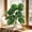 Green Size C R5, variant on Artificial Monstera Deliciosa Bonsai, Simulated Flower with Pot 45cm, Desktop Ornament for Living Room Office Bedroom