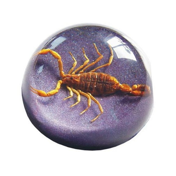 Ed Speldy East TC202 Real Bug Terrain-Medium-Scorpion-Purple Background