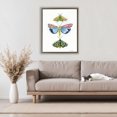 thumbnail image 3 of Stupell Industries Eclectic Bright Moths Trio Brown Floating Frame Canvas Art, 25 x 31, by Farida Zaman, 3 of 7