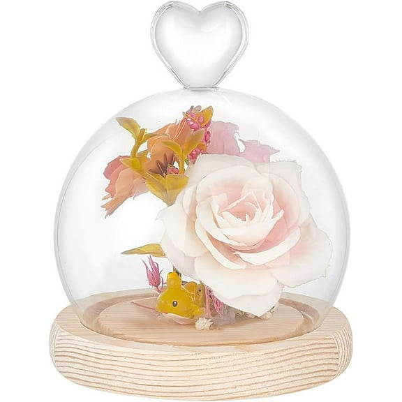 PH Glass Display Dome Cloche with Wood Base 4"W x 4.7"H Heart Glass Dome Cover Decorative Jars Display Case Cloche Bell Jar Terrarium for Flower Storage Home Christmas Party Favor Decor for DIY