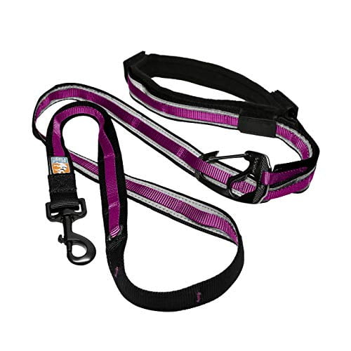 adjustable dog leash