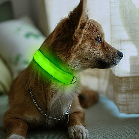 Small Green Light-Up LED Rechargeable Adjustable Pet Collar (Flashing or Steady)