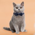 thumbnail image 3 of Collar de gato de algodón PU Collar de entrenamiento de perro con lazo ajustable lindo para niña o niño perro Hugtrwg Para estrenar, 3 of 8