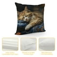thumbnail image 4 of JEUXUS I Work Hard So My Cat Can Have A Better Life Funny Cat Throw Pillow Cover,Decorative Pillowcase for Home Sofa Couch Bed,Home Bedroom Girls Room Decor,Gift for Cat Lovers Girls Women, 4 of 5