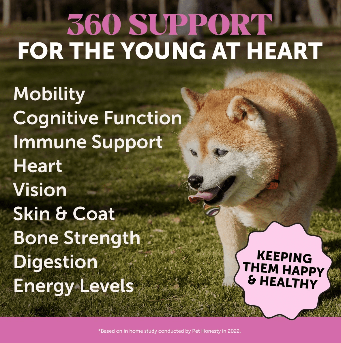 Pet Honesty 10-in-1 Senior Dog Multivitamin, Duck Flavor, Senior Dog Vitamins & Supplements with Glucosamine, Probiotics & Omega Fish Oil, 90 Count