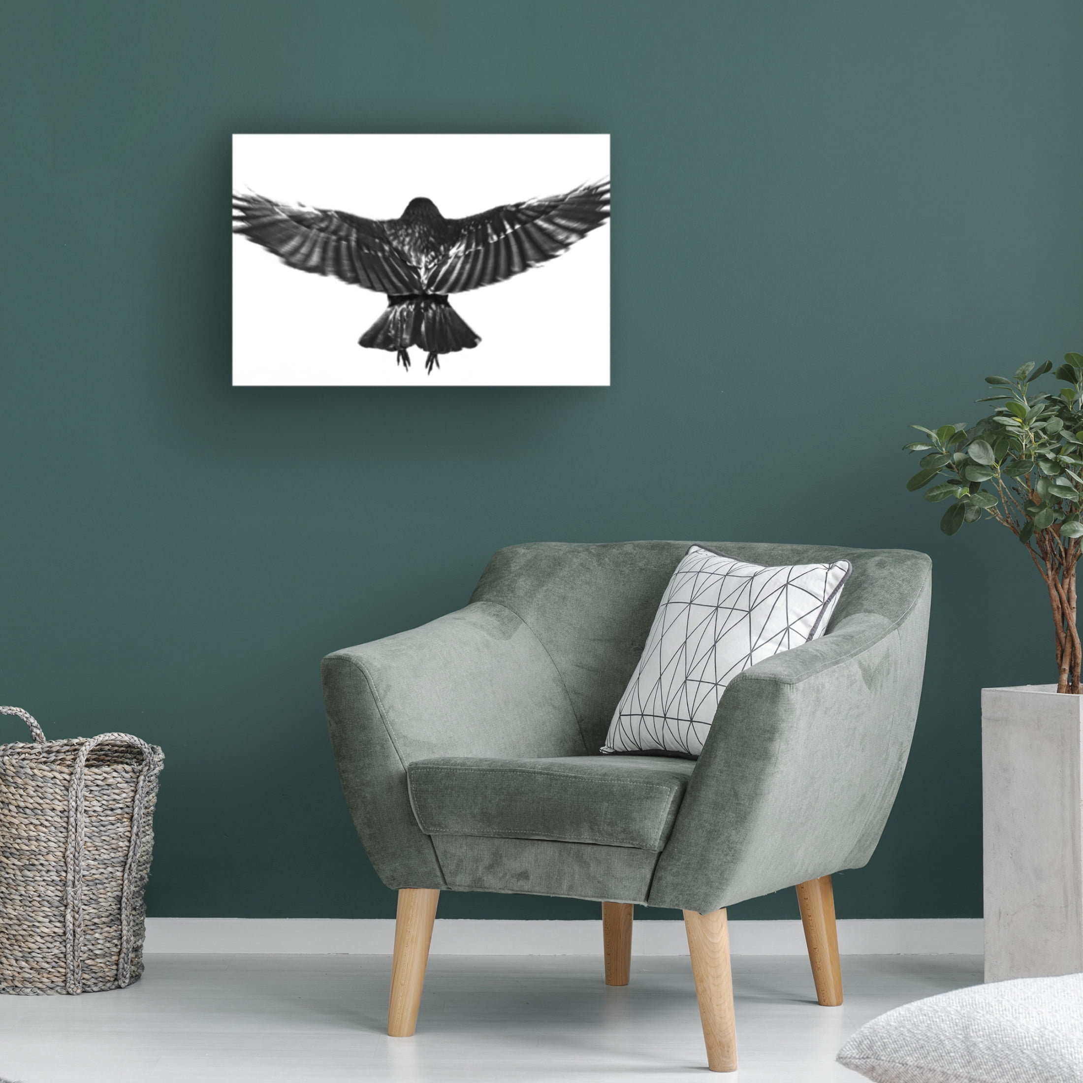 Trademark Fine Art Yuusuke Hisamitsu Flying. Canvas Wall Art
