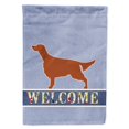 thumbnail image 1 of "Treasures BB5497CHF""Irish Setter""Bandera de bienvenida de lona tamaño casa, grande, multicolor" Caroline's Treasures BB5497CHF, 1 of 1