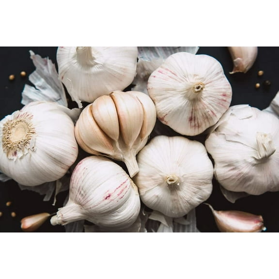 CZ Grain 5 Fresh Garlic Cloves Plant Seeds, Easy to Grow