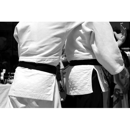 LAMINATED POSTER Black Belt Sport Japan Sports Martial Arts Aikido Poster Print 24 x (Aikido Best Martial Art)