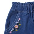 thumbnail image 4 of 2-7T Summer Kids Little Girls Embroidered Elastic Waist Denim Shorts, 4 of 9