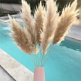 thumbnail image 3 of Ruroz Vase 1Pc Plastic Shatterproof Flower Plant Pot Vase Study Room Home Wedding Decor Home Decor Pink Graduation Decorations, 3 of 3
