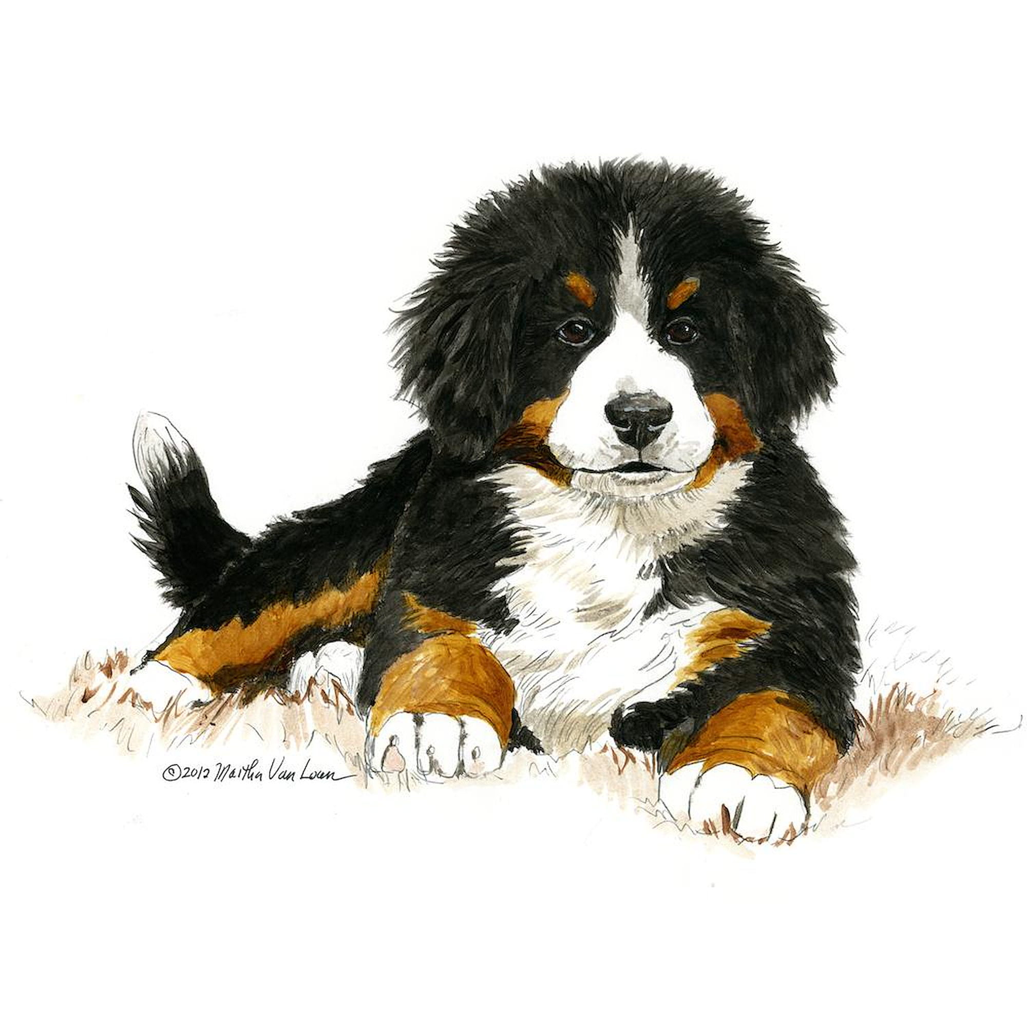 CafePress - Bernese Mountain Dog - Soft Fleece Throw Blanket, 50"x60" for All Ages