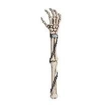 Novelty Skeleton Arm Back Scratcher 15 Inch L Halloween Decor