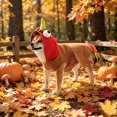 thumbnail image 6 of Dog Turkey Costume Pet Cosplay Hooded Outfit with Tail Medium Large Dogs Thanksgiving Halloween, 6 of 7