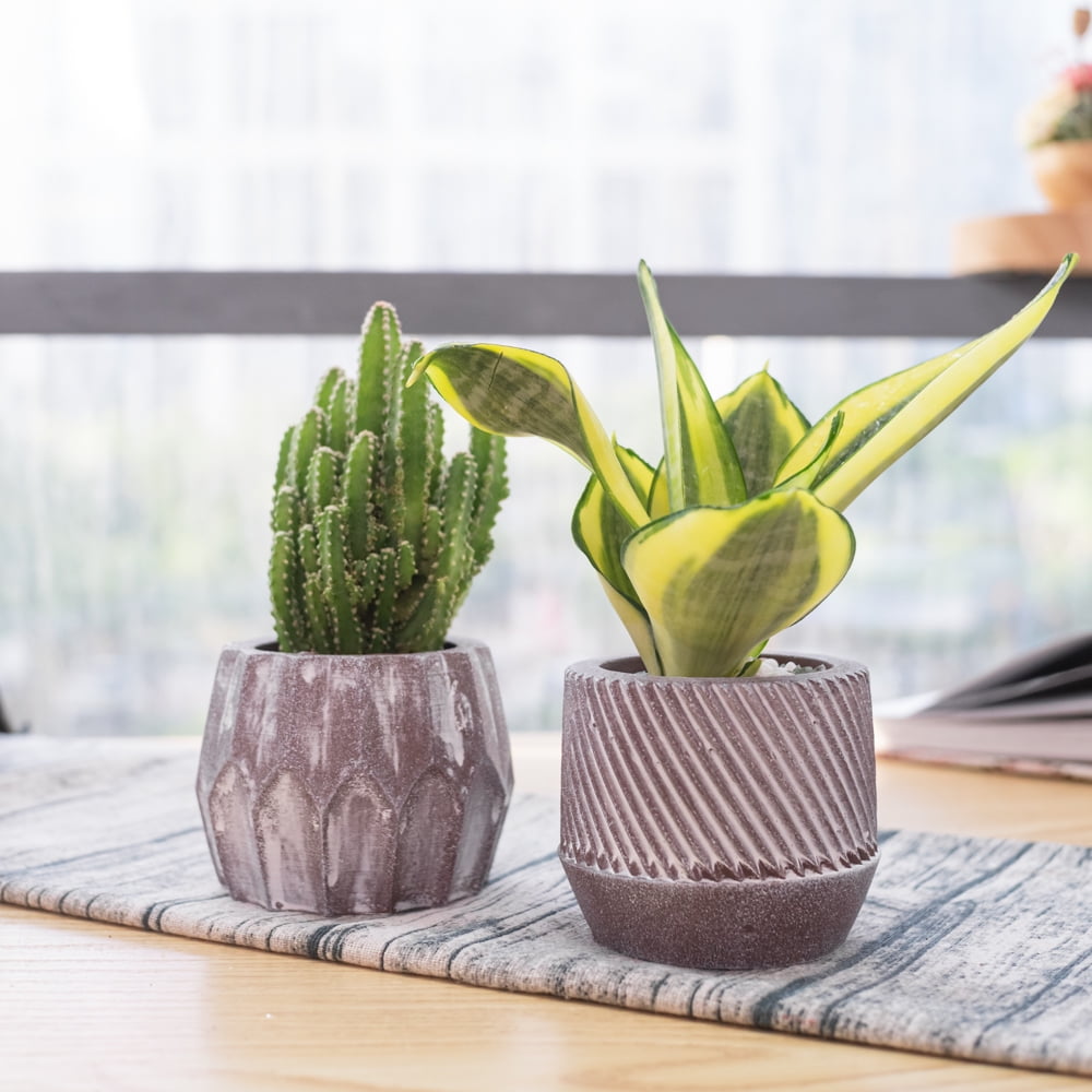KRALIX Cement Designer Round Planter Pots Two Grey Wash Pots with Drainage Hole and Tray for All House Plants 2 Piece Gift Set Cactus Flower and Herbs Grey Wash 