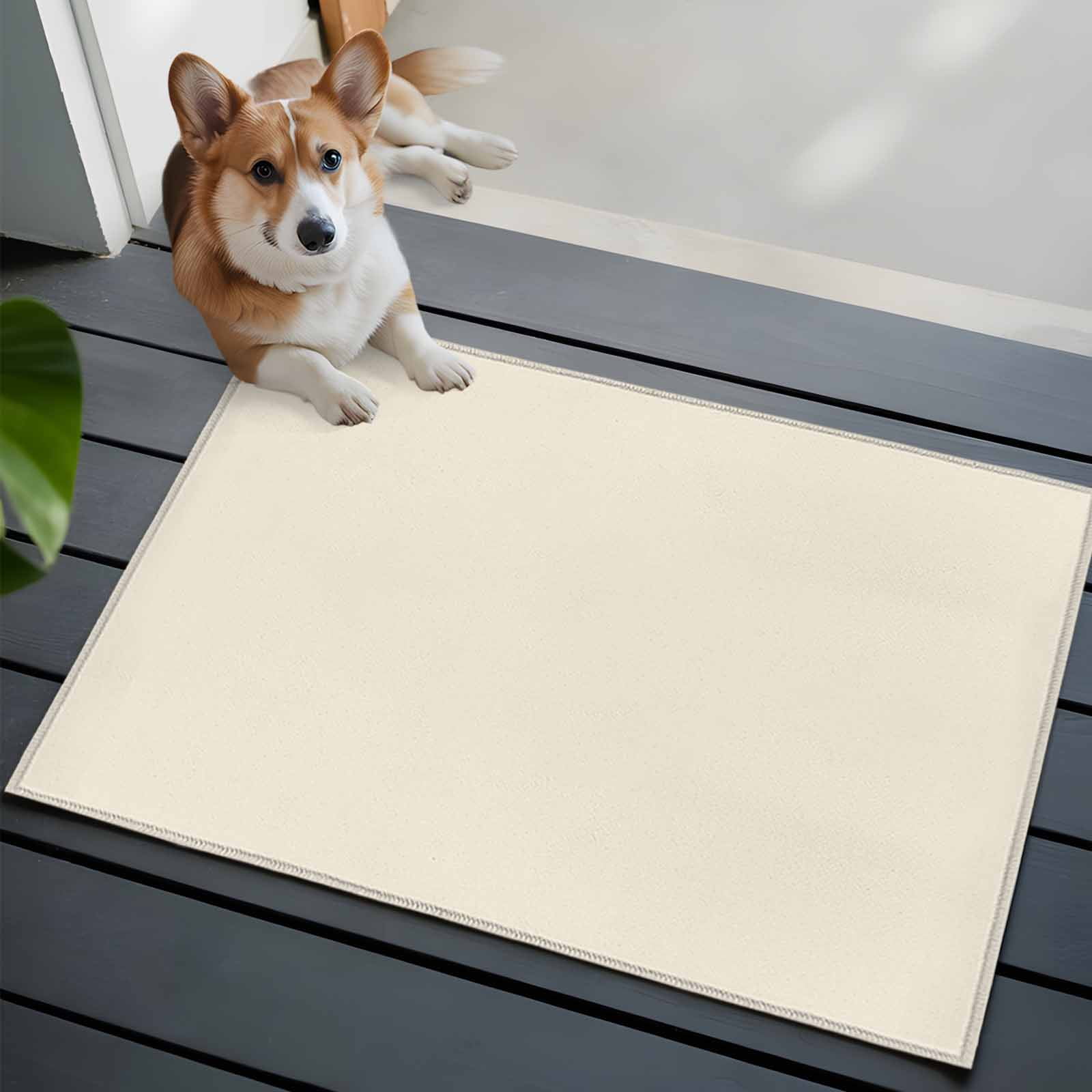 Cream Area Rugs 2x3 for Living Room, Farmhouse Solid Beige Color Modern Art Non Slip Washable Rug Runner, Low Pile Indoor Floor Carpet Mat Bathroom Rugs for Bedroom, Kids Room