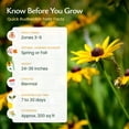 thumbnail image 5 of Black-Eyed Susan Wildflower Seeds, 55,000 Non-GMO Yellow Daisy Seeds - Created By Nature, 5 of 6
