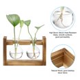 thumbnail image 3 of Uxcell Propagation Vases for Plants with Wooden Stand, Glass Vase, Wood Color (3 Bulb), 3 of 7