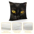 thumbnail image 4 of SHANXI  Throw Pillow Covers Cute Yellow-Eyed cat on a White Background Square Pillowcases for Home Decor Sofa Car Bedroom Pillow case 18x18in, 4 of 5