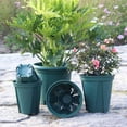 thumbnail image 3 of Plastic Flower Pot Rose Clematis Planting Pot Gallon Flower Pot, 3 of 5
