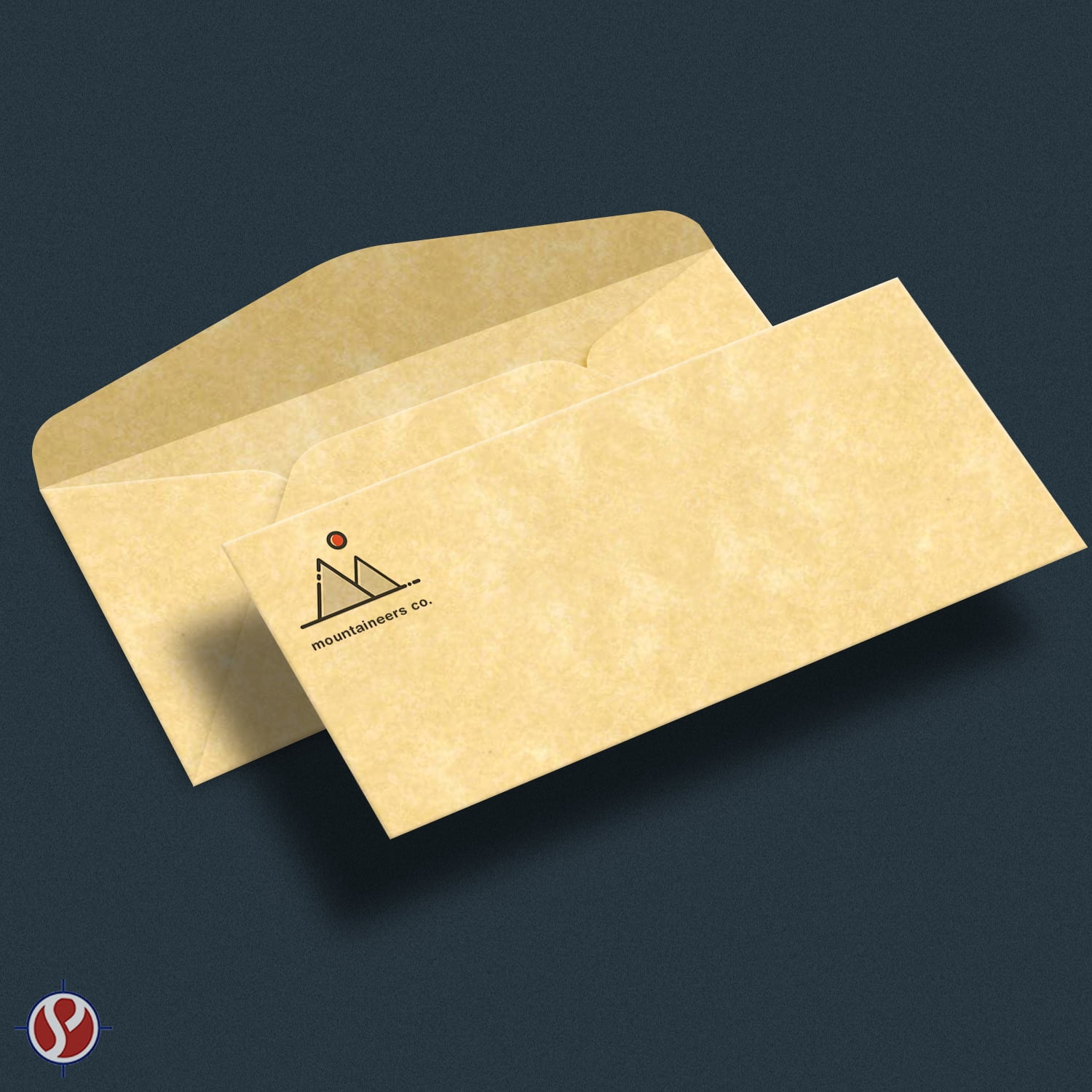 New Champagne #10 Parchment Business Envelopes – Perfect for Invitations, Greetings, Holiday, Office, Invoices, Letters, Mailings | 4 1/8 x 9 1/2 Inches | 100 Per Pack