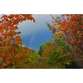 thumbnail image 2 of Grandmaison, Mike 32x23 Gold Ornate Wood Framed with Double Matting Museum Art Print Titled - Canada, Ontario Rainbow and maples in autumn, 2 of 4