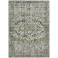 thumbnail image 2 of Addison Rugs Chantille Indoor/Outdoor Traditional Border Aloe Machine Washable Rectangle Rug, 10' x 14', 2 of 7