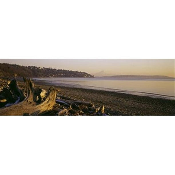 Panoramic Images PPI105752L Bois Flotté sur la Plage Découverte Parc Mt Pluvieux Seattle Roi Comté Washington État USA Affiche Imprimée par Panoramic Images - 36 x 12