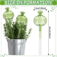thumbnail image 2 of HEJULIK 4 Pcs Plant Watering Globes, Cactus Self Watering Planter Insert，Glass Plant Watering Devices for Indoor and Outdoor Plants Accessories, 2 of 10