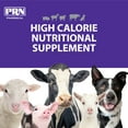 thumbnail image 4 of PRN Pharmacal STAT - High Calorie Nutritional Supplement to Help Restore Hydration & Nutrition Levels in Animals - Vanilla Flavored Dietary Support with Vitamin A, D3, C, E, & More - 16 Fl Oz, 4 of 8