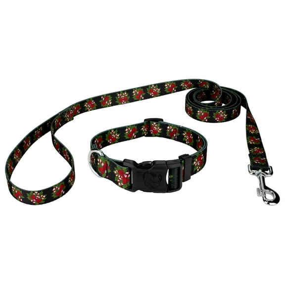 Country Brook Petz® Deluxe Black Candy Cane Dog Collar and Leash, Mini