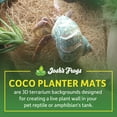 thumbnail image 4 of Josh's Frogs Coco Planter Mat (~8 x 12 inch), 4 of 8