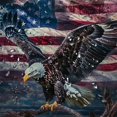 thumbnail image 5 of Orinice Bald Eagle Flag Americo Makk Bathroom Decor Set with Hooks Waterproof Shower Curtain Set 36x72, 5 of 7